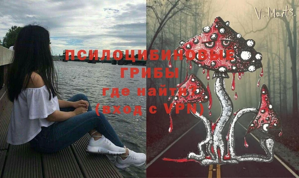 сатива Арсеньев