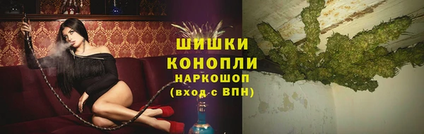 сатива Арсеньев