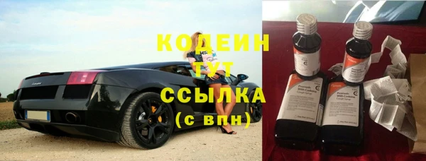 сатива Арсеньев