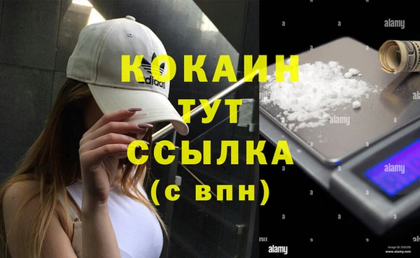 сатива Арсеньев