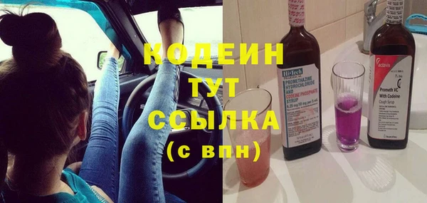 сатива Арсеньев